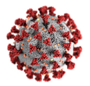 COVID-19 virus