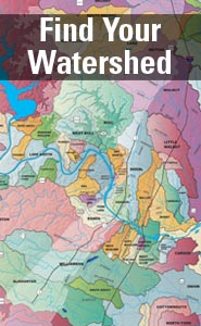 Watershed Detectives | Watershed Protection | AustinTexas.gov - The