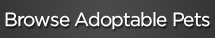 Browse Adoptable Pets