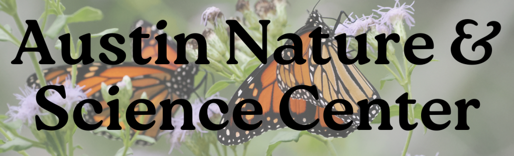 Banner that read "Austin Nature and Science Center" over a photo of monarch butterflies on native blue flowers.