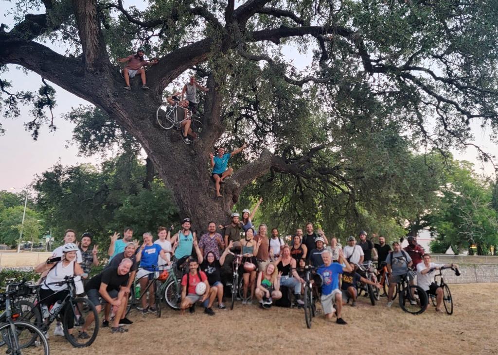 People pose with their bikes in and around a large tree at Parque Zaragosa