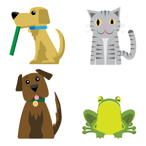 Adobe Illustrator 101