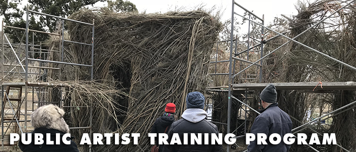 Public Artist Training Program
