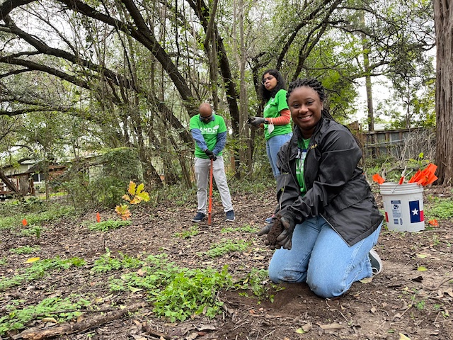 Three volunteers dig holes to plant trees