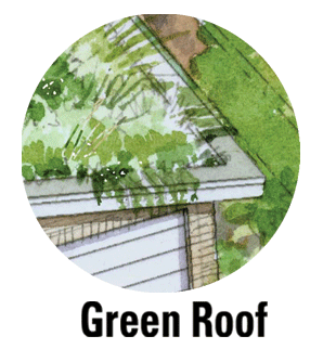 green roof
