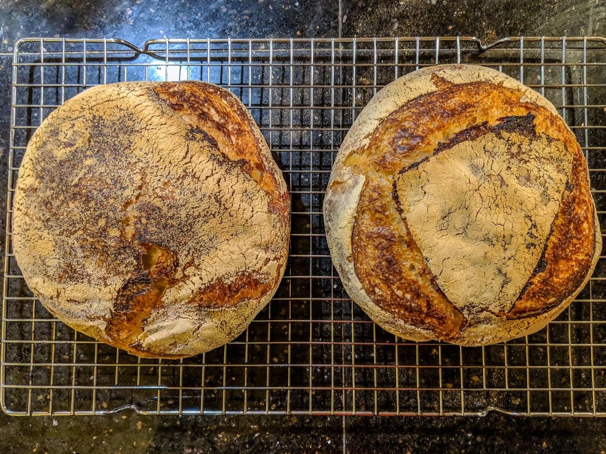 Close-up of two loaves of freshly-baked sourdough.