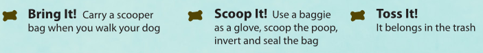 Bring it! Carry a scooper bag when you walk your dog. Scoop it! Use a baggie as a glove, scoop the poop, invert and seal the bag. Toss it! It belongs in the trash.