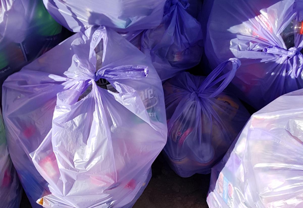 A pile of full violet trash bags