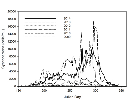 Algal biomass (cells/mL) based on total cell counts (A); diatoms (B); and cyanobacteria (C) for the summers from 2009 to 2014.