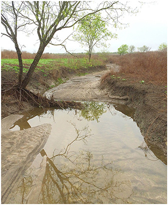 Creek banks without enough vegetation.