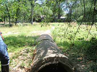 This stormdrain pipe originally stretched 100 ft across the Shoal Creek Greenbelt before discharging into Shoal Creek.  The pipe became exposed by erosion over time and was starting to break apart.