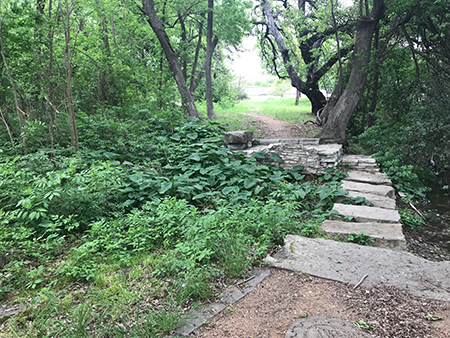 Picture showing trail through open space area.