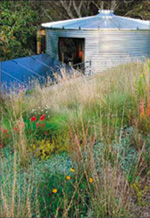 Extensive green roof over studio office space in East Austin.