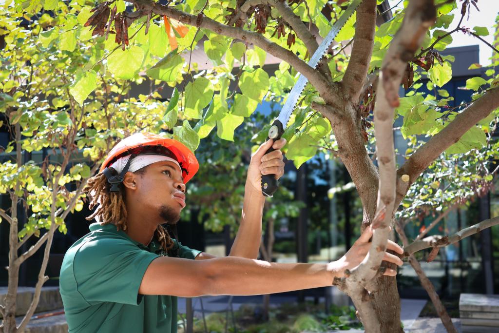 Youth Forest Council Intern Brayden Thornton