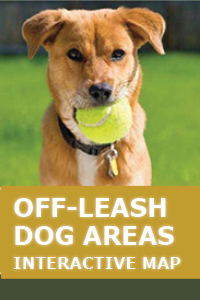 Off-Leash Areas | AustinTexas.gov