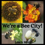 We're a bee city! Learn More!