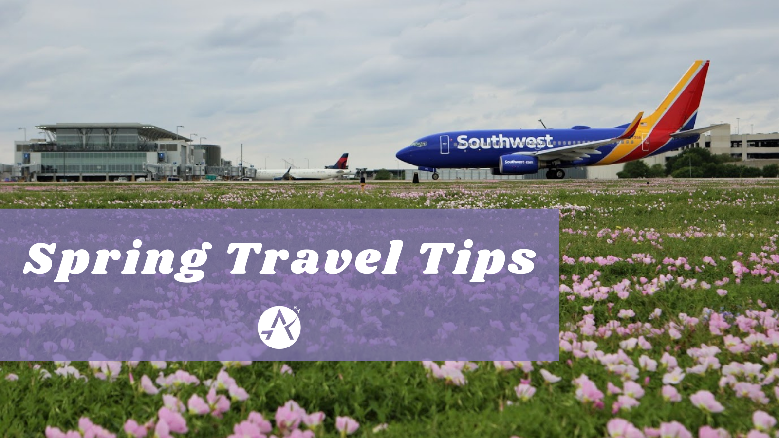 Photo of an airplane on the airfield surrounded by a field of pink flowers. Text reads: Spring Travel Tips