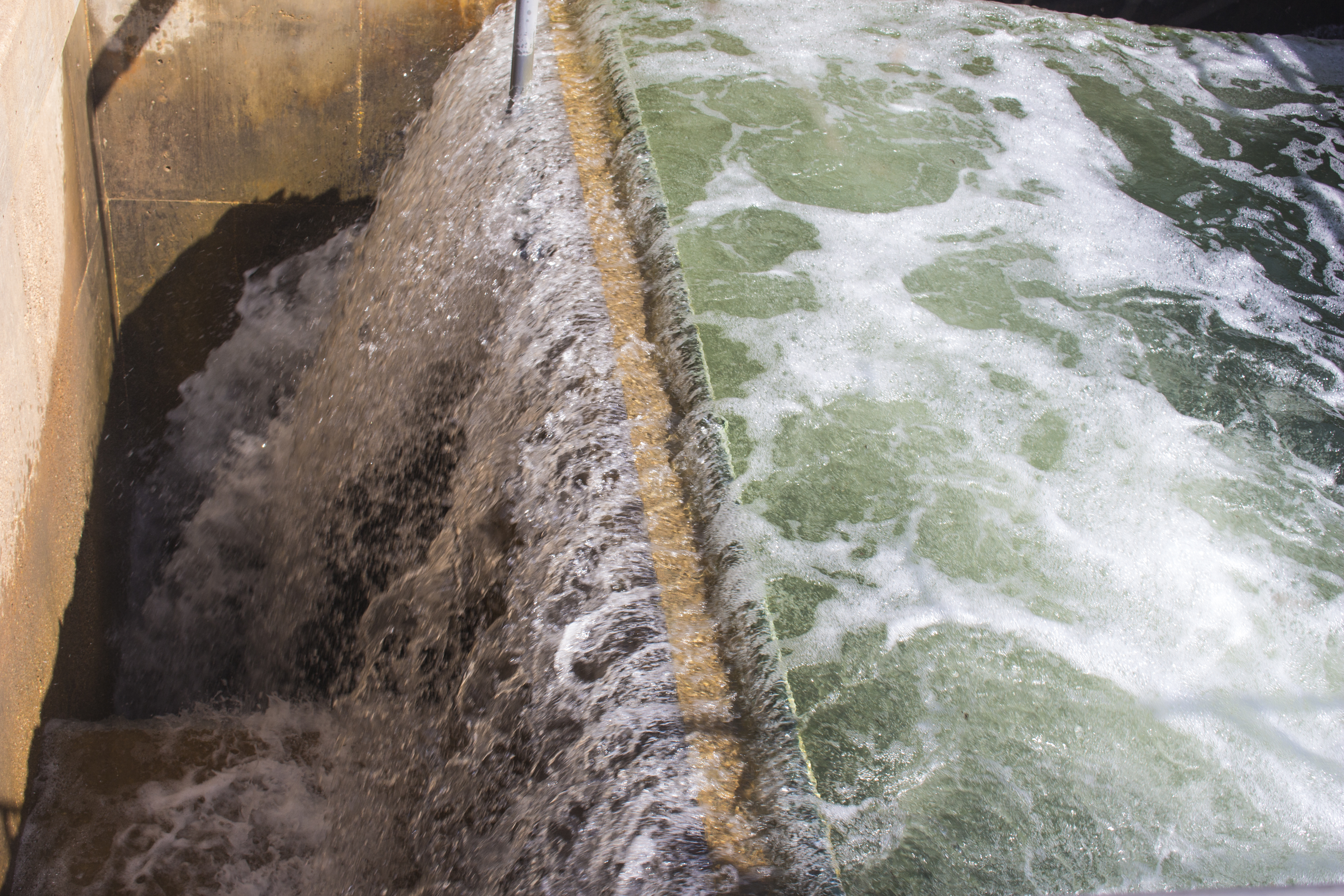 Honoring commercial and industrial water customers for excellence in pretreatment of wastewater, water protection, environmental operations, and community stewardship