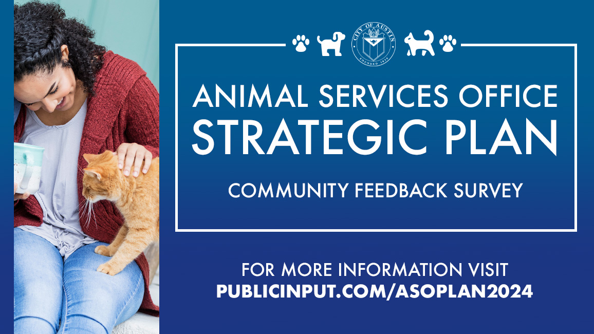 Strategic Plan Survey promo image