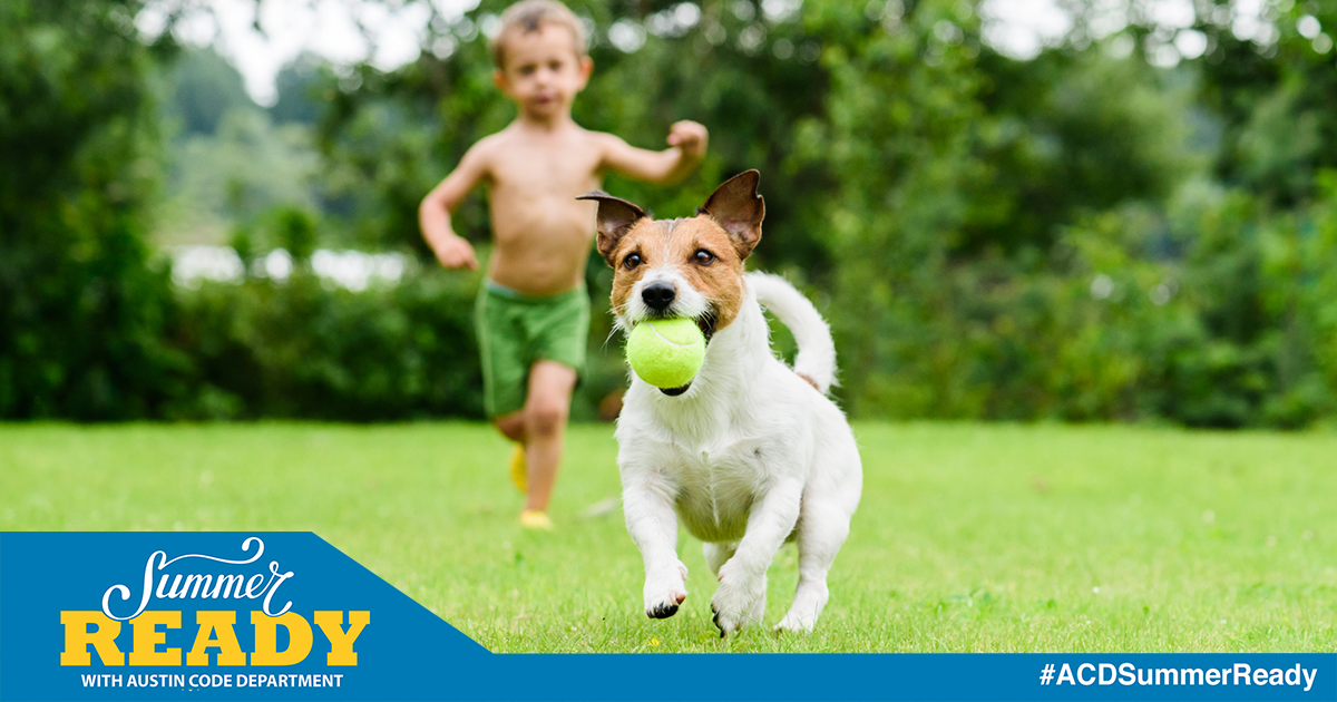 young boy running on a green lawn after a dog who is holding a tennis ball in its mouth