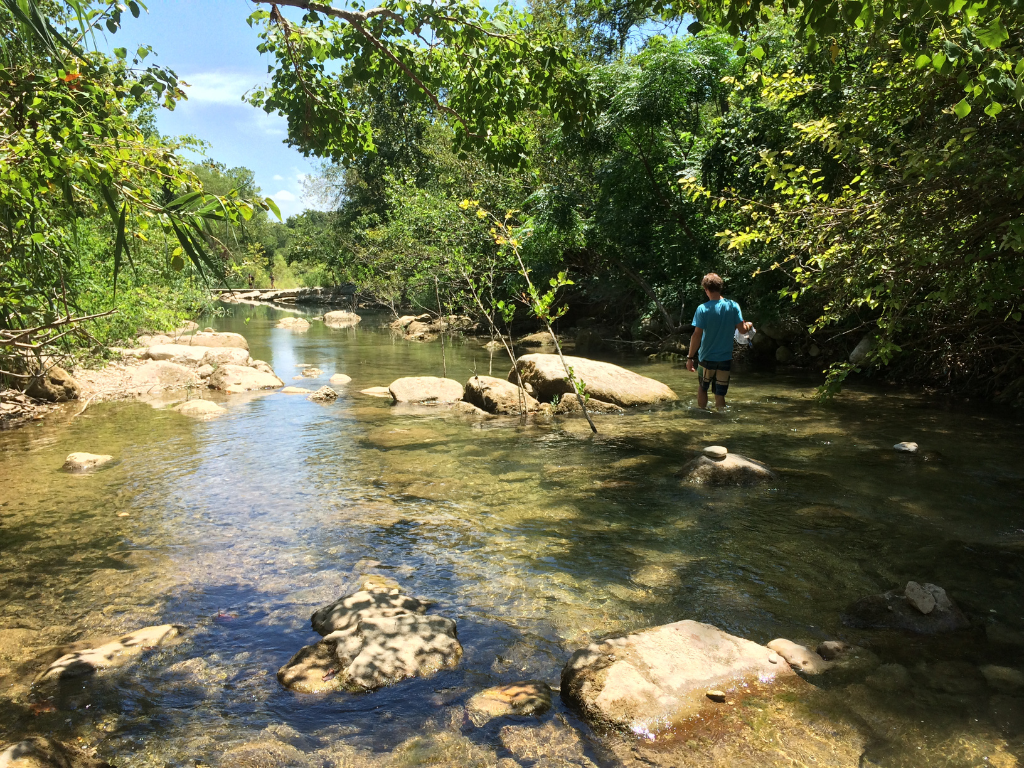 Scientist sampling creek