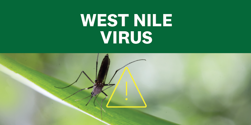 Recent rains warrant mosquito safety precautions 