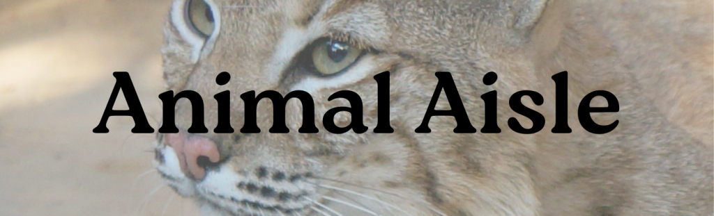 Bobcat with "Animal Aisle" title