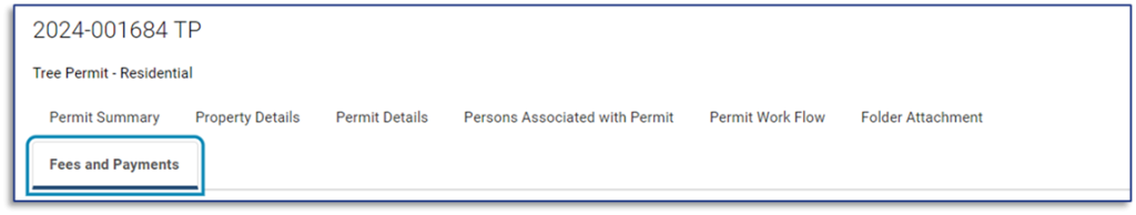 Fees and Payments tab