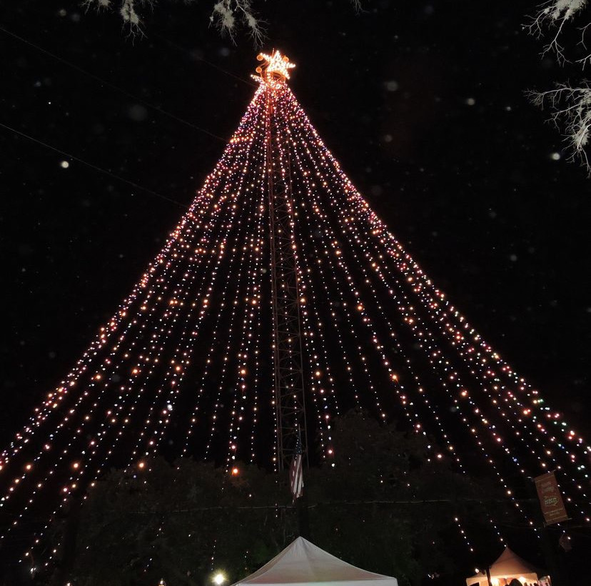 Zilker Holiday Tree Photo