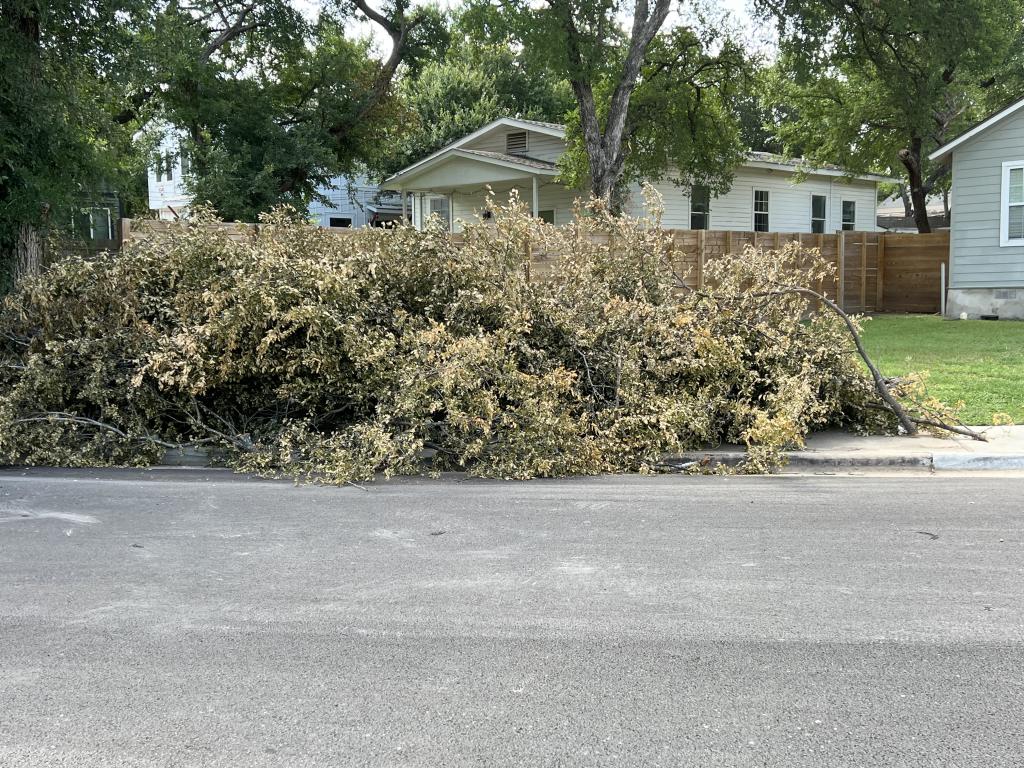 Massive pile of brush ready for curbside pickup.