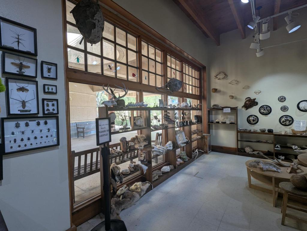 Room and window with natural history items