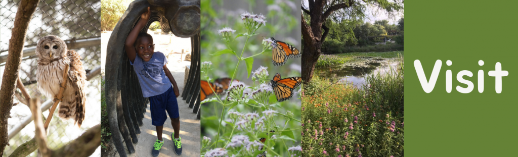 Plan Your Visit to the Austin Nature & Science Center