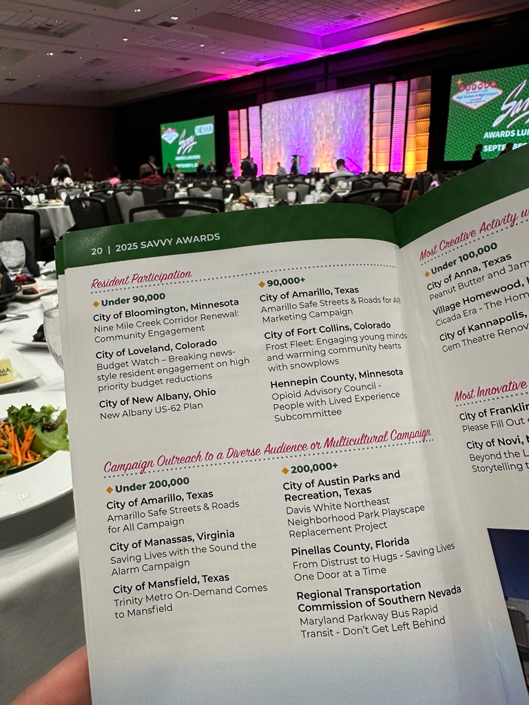 3CMA 2025 Savvy Award Program