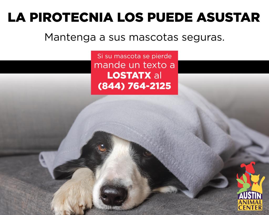 La Pirotecnia Los Puede Asustar. Mande un texto a LOSTATX al 844-764-2125.