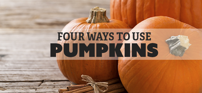 Four ways to use pumpkins | AustinTexas.gov