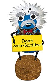 Don't over-fertilize.  Visit www.growgreen.org for more information