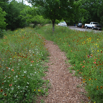 The City of Austin has resources to help people choose aesthetically pleasing plants for trails.
