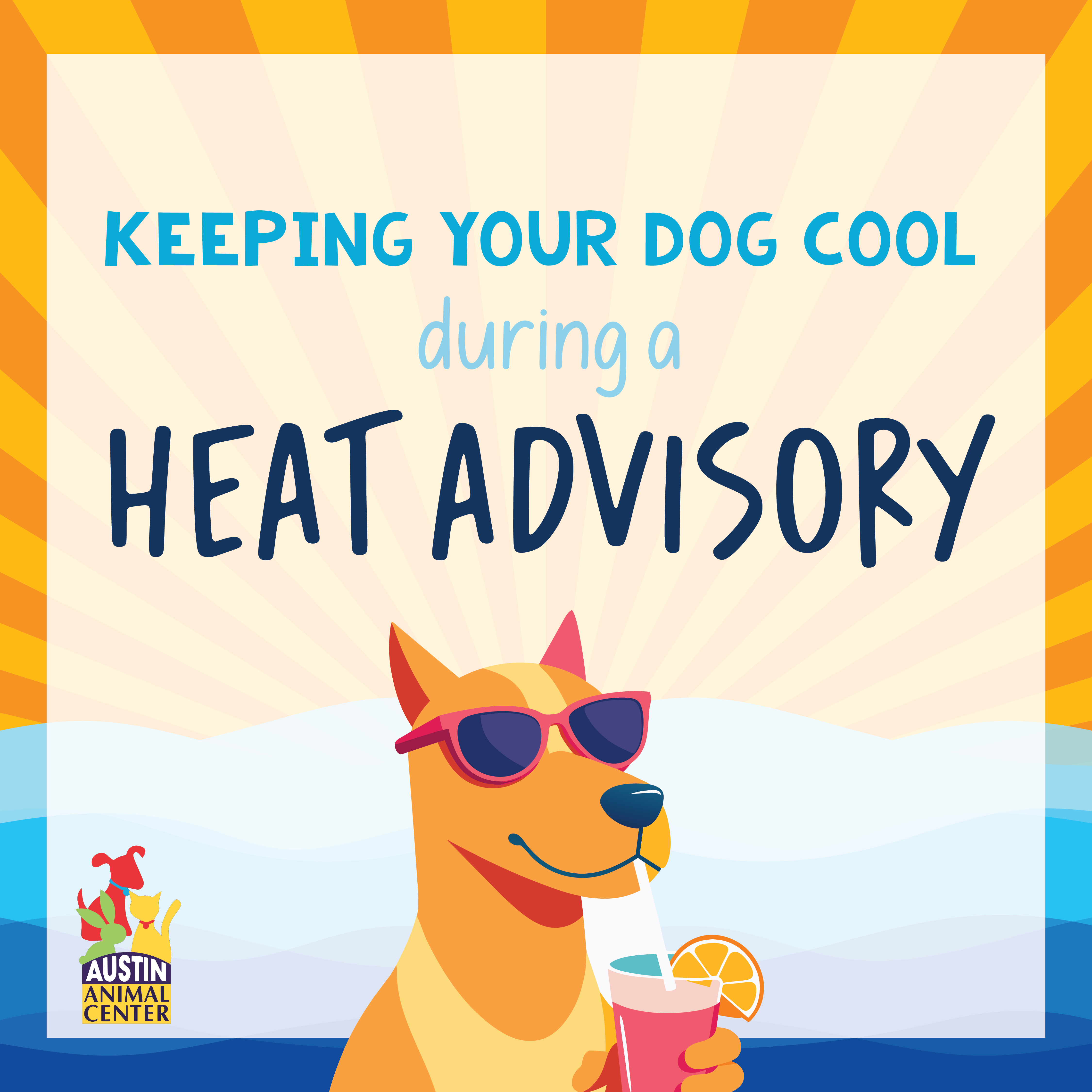 keeping your dog cool during a heat advisory