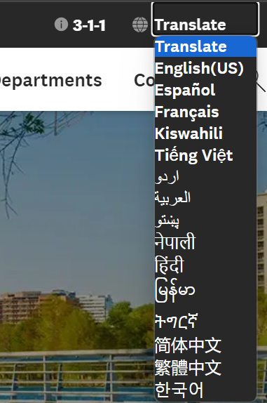 language translation tool screenshot