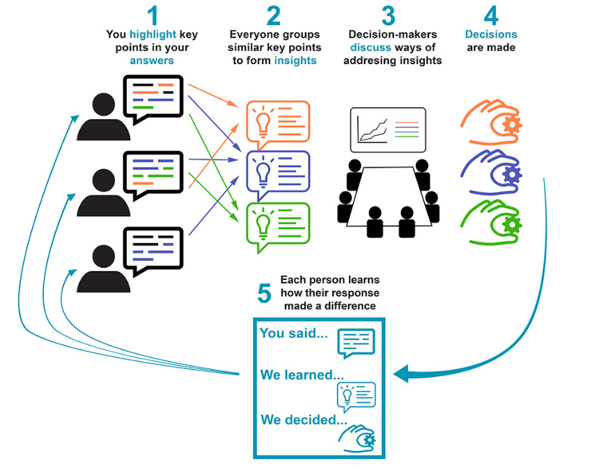 Flowchart from Insights showing how Insights works after participants submit an answer to the Insights website