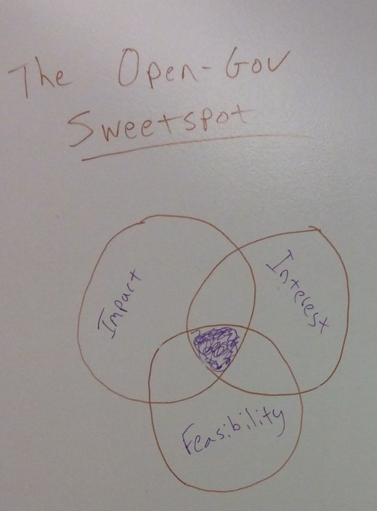 Image of three intersecting circles drawn on a white board, with title "Open Gov Sweet Spot" and words in each circle-- one says "Interest," one says "Impact," and one says "Feasibility," with a darkened overlap of all three