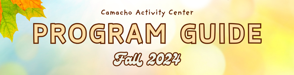 Program Guide Banner