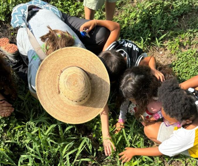 Children looking in the grass