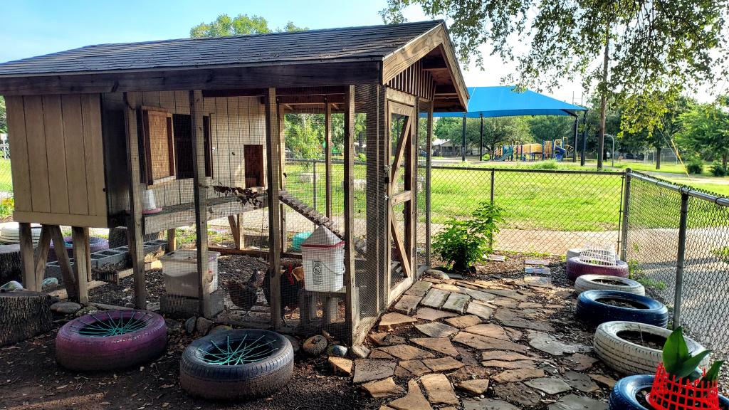 Schoolyard with a chicken coop and painted tires used for gardens.