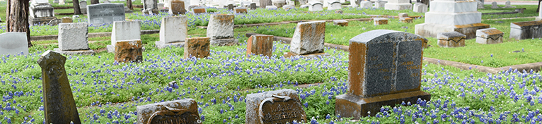 Oakwood Cemetery Tours