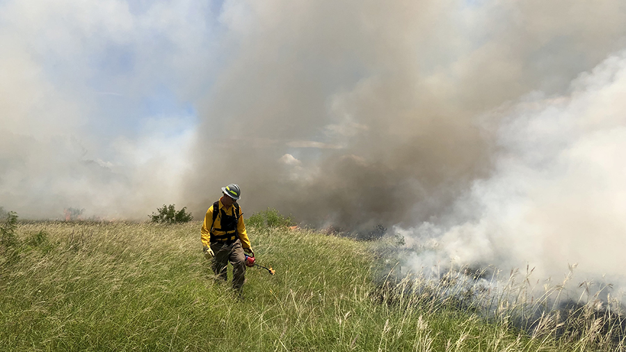 Man igniting prescribed fire