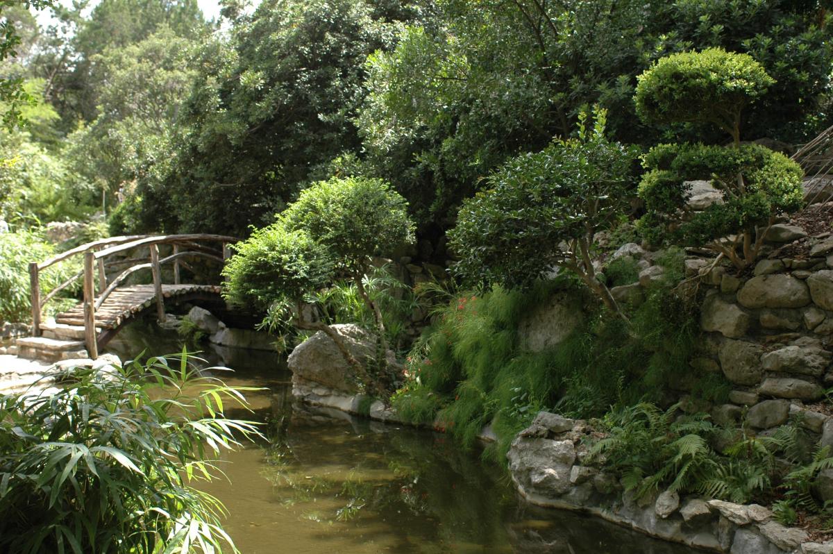 Zilker Botanical Gardens A Jewel Set Within The Heart Of Austin