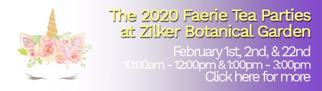 The 2020 Faerie Tea Parties at Zilker Botanical Garden. February 1st, 2nd, and 22nd. Morning: 10am - 12pm and Afternoon: 1pm to 3pm. Click here for more details