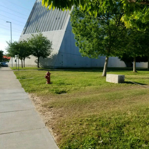 A sidewalk next to a green lawn with scattered trees and a red fire hydrant in the foreground. The white angular exterior of a large modern building is partially visible behind the trees.