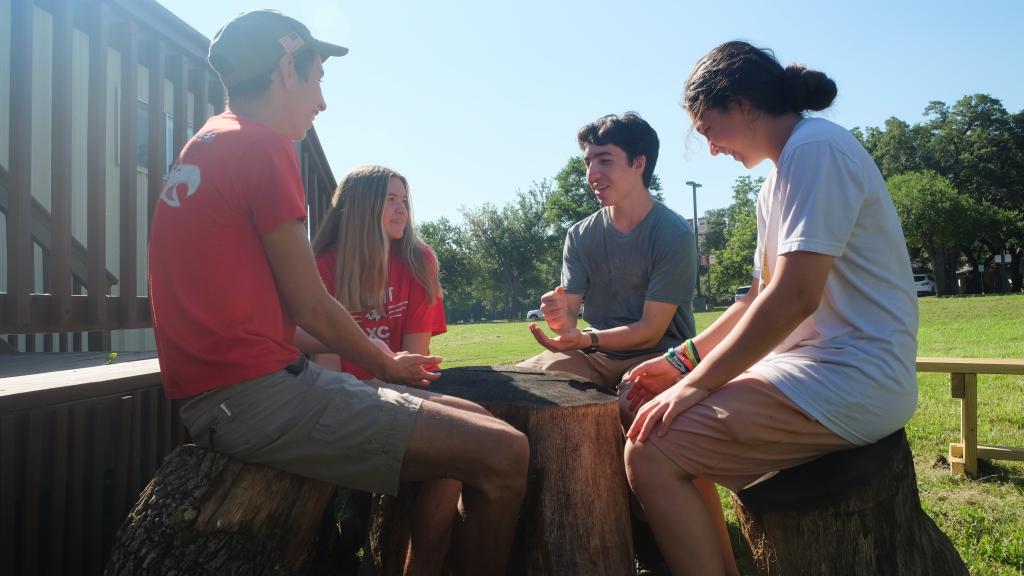 Four students sit laughing on logs. One has their hand in a fist, another in a flat palm.